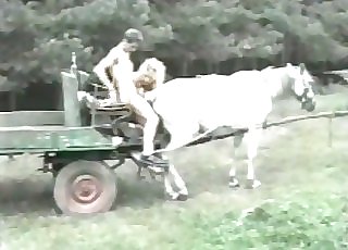 That horse gets fucked instead of carrying