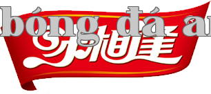 Logo ở dưới cùng